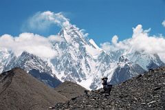 36 Porters Nearing Concordia With Gasherbrum IV Towering Overhead
